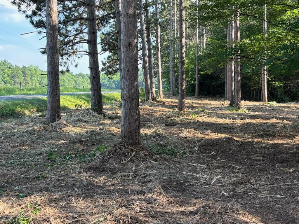 Now, you can see deep into the plantation with clear viewing.