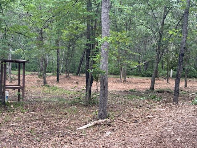 Now there is a nice, clear view - all the way to the back of the property.