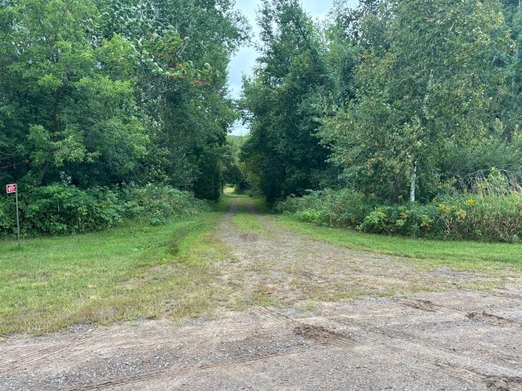 Branches stretched into the driveway - likely touching the vehicles that were driving in.