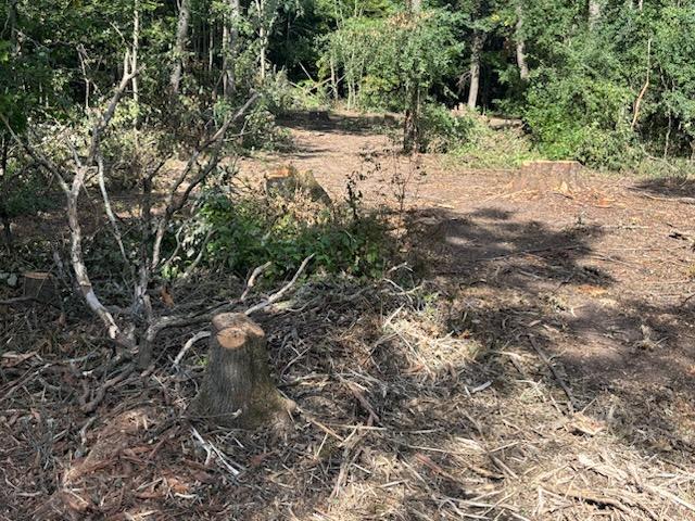 Before we mulched the sticks and debris strewn about the ground.