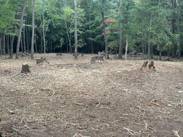 After we cleared the lot.