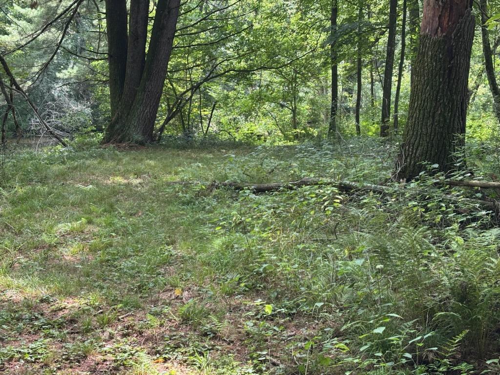 Before we access to the river was cleared