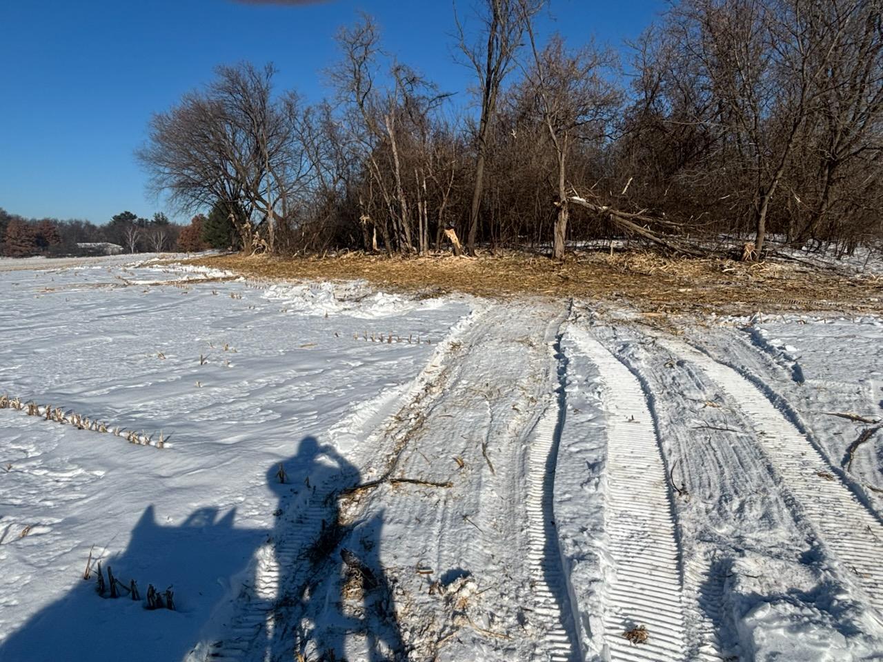 After cutting the tree limbs and mulching the area - you can see that the farmer has a lot more (and safer) area to operate.