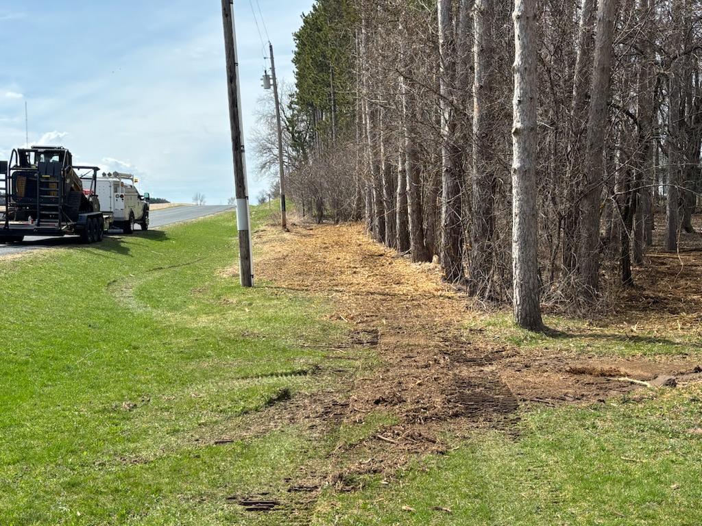 Forestry mulching done right – a transformative difference for this property.
