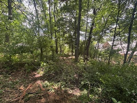 Overgrown lot in Eau Claire, WI with dense brush and ground debris before professional clearing services