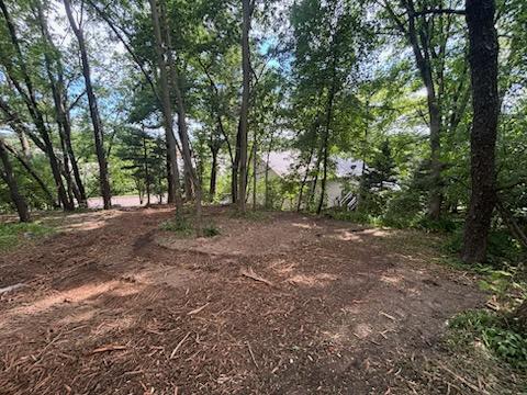 Open, cleared lot in Eau Claire, WI after professional brush clearing with larger trees preserved
